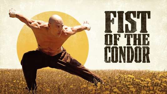 Fist of the Condor - Backdrops