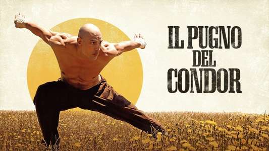 Fist of the Condor - Backdrops