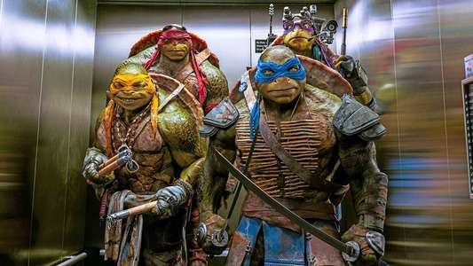 Teenage Mutant Ninja Turtles - Backdrop