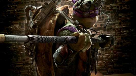 Teenage Mutant Ninja Turtles - Backdrop