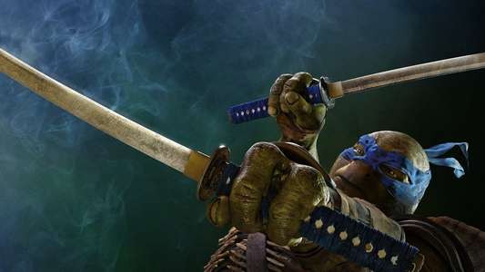 Teenage Mutant Ninja Turtles - Backdrop