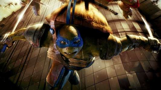 Teenage Mutant Ninja Turtles - Backdrop