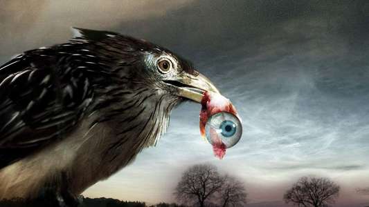 Flu Bird Horror - Backdrop