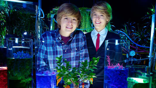 The Suite Life Movie - Backdrops