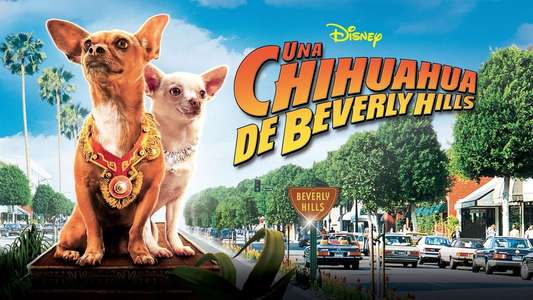 Beverly Hills Chihuahua - Backdrop