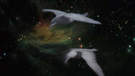 Jonathan Livingston Seagull - Backdrop