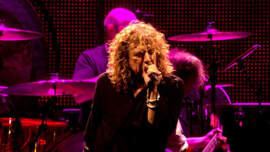 Led Zeppelin - Celebration Day - Backdrop