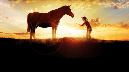 The Wild Stallion - Backdrop