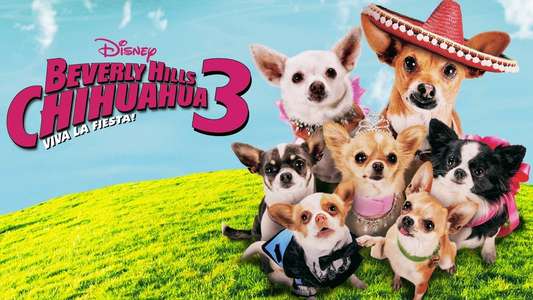Beverly Hills Chihuahua 3 - Viva La Fiesta! - Backdrop