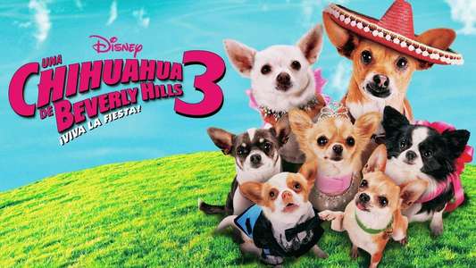Beverly Hills Chihuahua 3 - Viva La Fiesta! - Backdrop