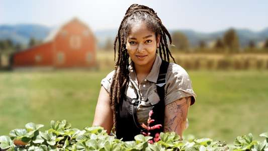 Farm Dreams - Backdrops