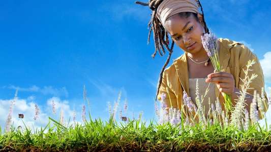 Farm Dreams - Backdrops