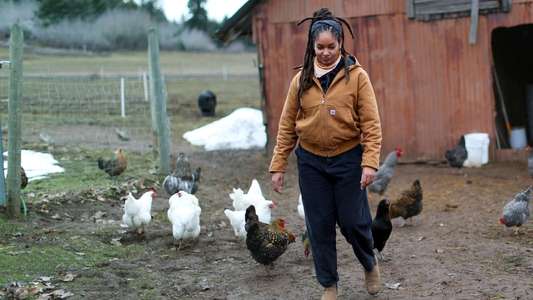 Farm Dreams - Backdrops