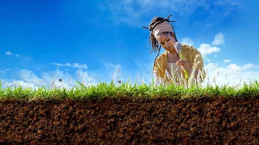 Farm Dreams - Backdrops
