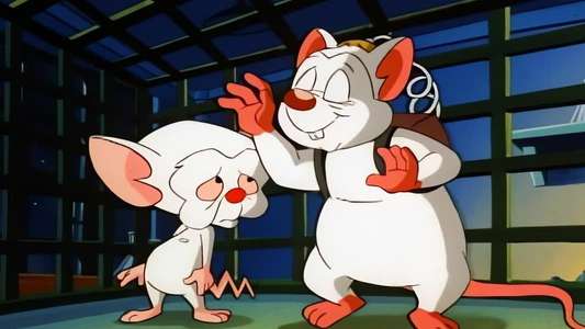 Pinky and the Brain - Backdrop