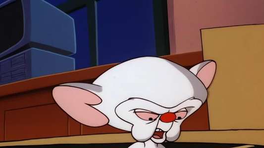 Pinky and the Brain - Backdrop