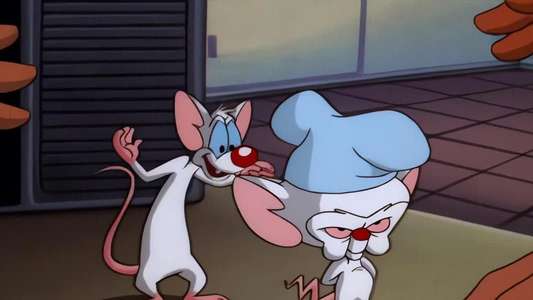 Pinky and the Brain - Backdrop