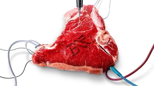 Blood Free - Backdrops