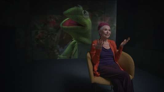Jim Henson Idea Man - Backdrops