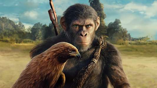 Kingdom of the Planet of the Apes - Backdrops