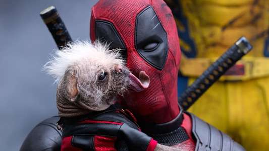Deadpool & Wolverine - Backdrops