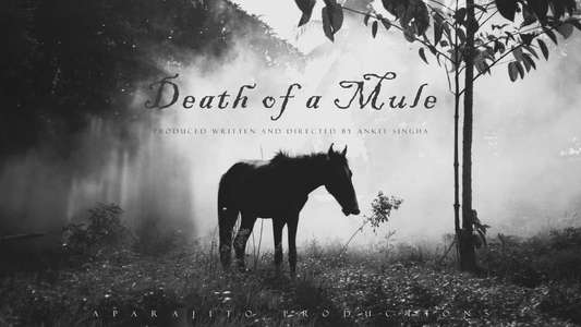 Death of a Mule - Backdrop