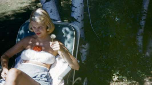 Sylvia Plath: Inside the Bell Jar - Backdrop