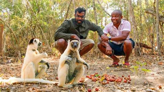 The Misadventures of Romesh Ranganathan - Backdrops