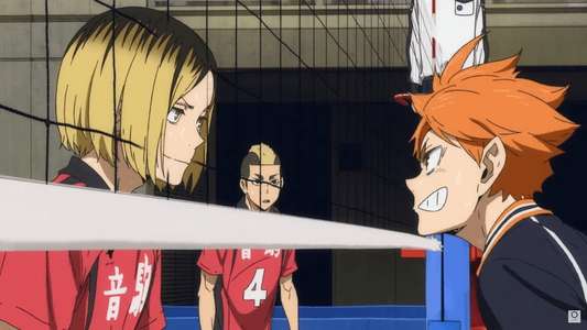 HAIKYU!! The Dumpster Battle - Backdrop