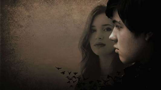 Blackbird - Backdrop