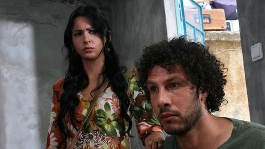 Palestine Stereo - Backdrop