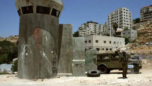 Palestine Stereo - Backdrop
