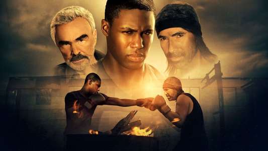 Shadow Fighter - Backdrop