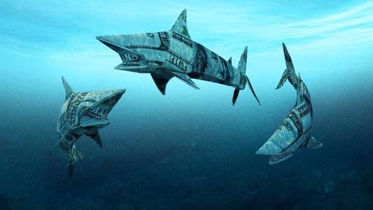 Shark Tank - Backdrops