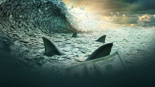 Shark Tank - Backdrops