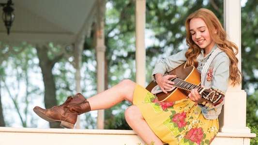Holly Hobbie - Backdrops