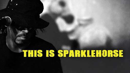 The Sad and Beautiful World of Sparklehorse - Backdrop