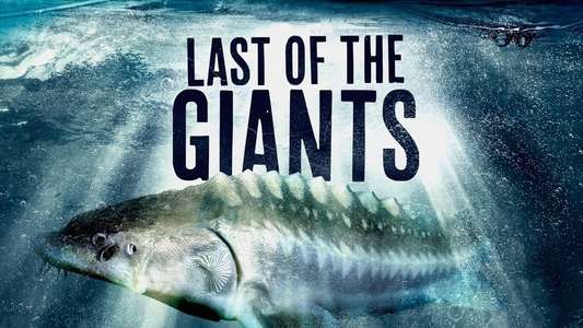 Last of the Giants - Backdrops