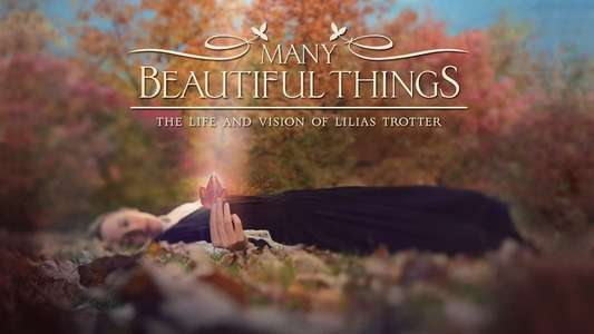 Many Beautiful Things - Backdrop