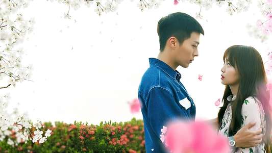 Come and Hug Me - Backdrops