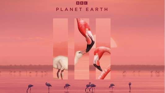 Planet Earth II - Backdrops