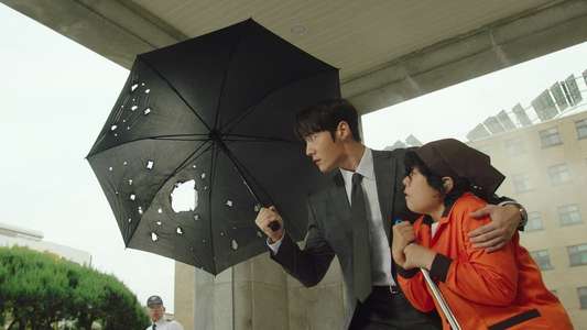 Miss Night and Day - Backdrops