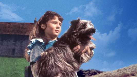 Greyfriars Bobby: The True Story of a Dog - Backdrop