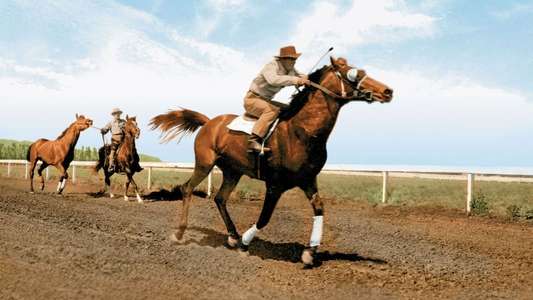 The Story of Seabiscuit - Backdrops