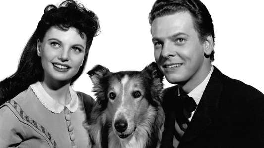 Challenge to Lassie - Backdrops