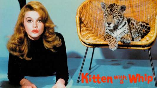 Kitten with a Whip - Backdrop
