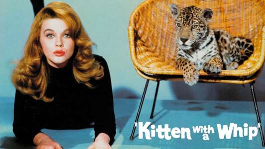 Kitten with a Whip - Backdrop