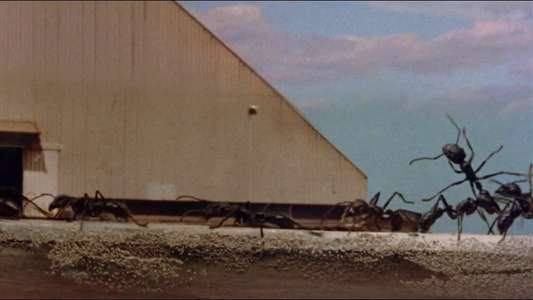 Empire of the Ants - Backdrop