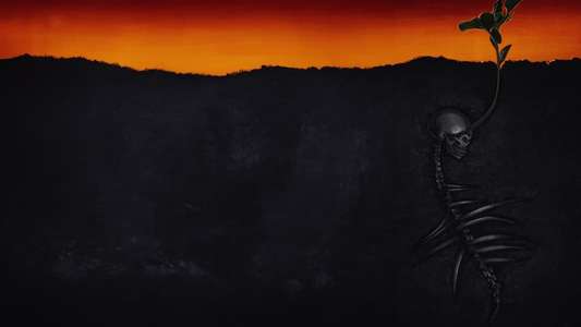 The Seeding - Backdrops
