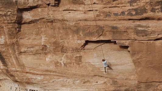 The Seeding - Backdrops
